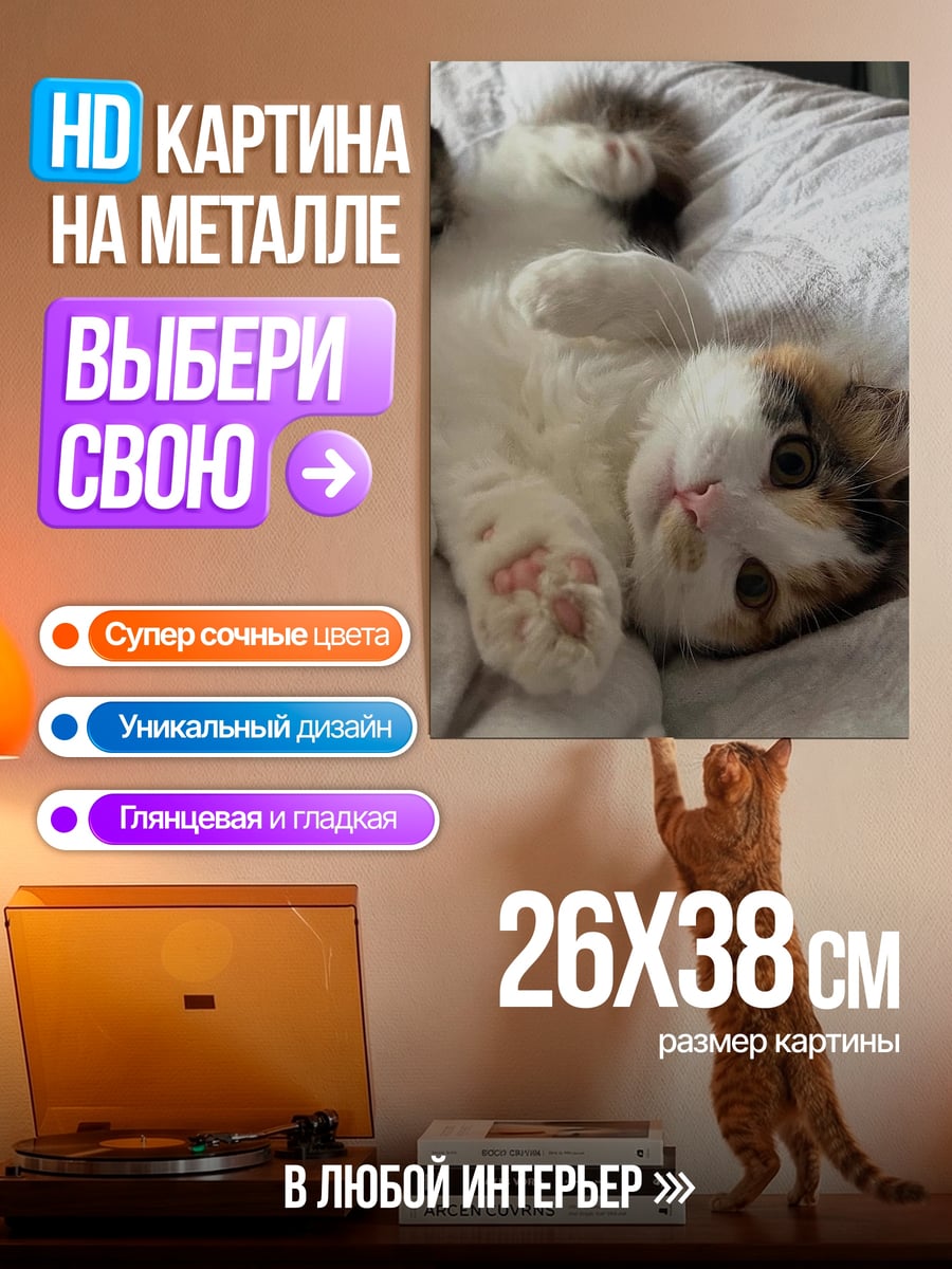 Картина на металле Кот на кровати