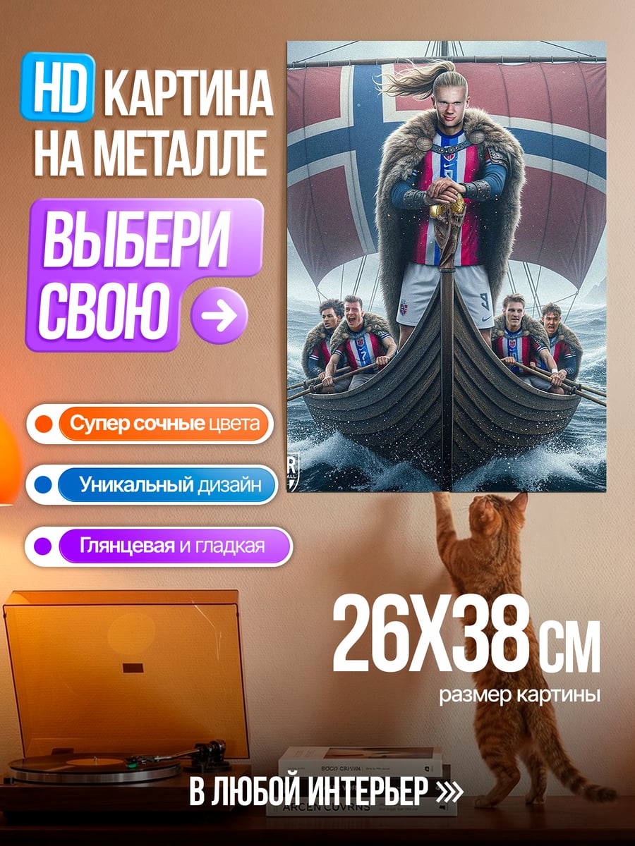 Картина на металле Викинг на драккаре