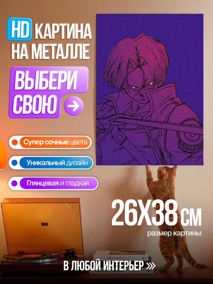 Картина на металле Транкс мечник