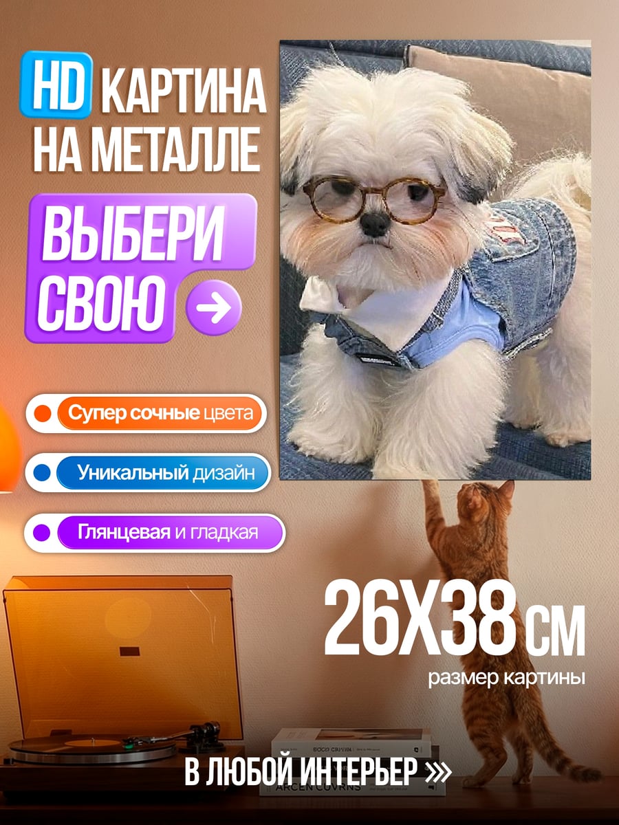 Картина на металле Стильный пес в очках