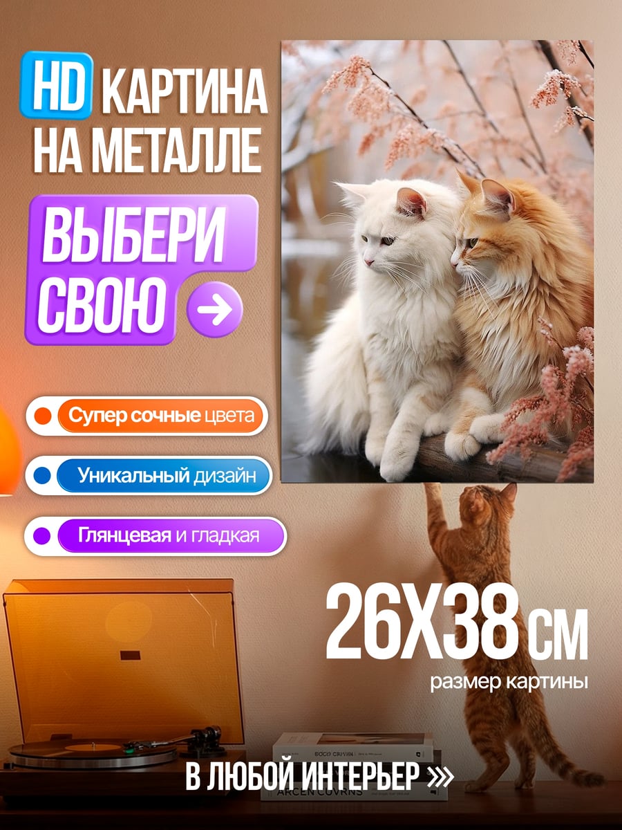 Картина на металле Два пушистых кота