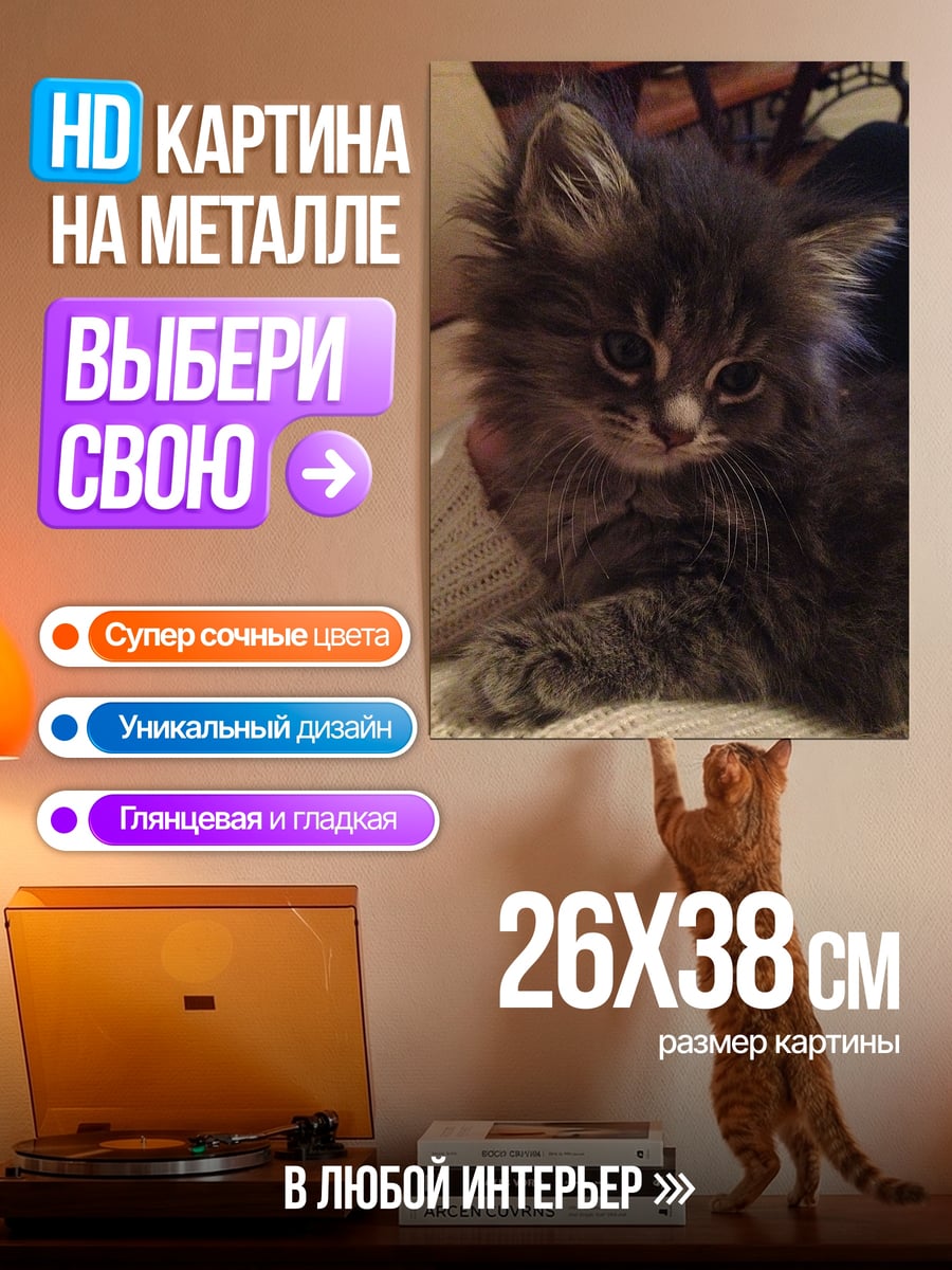 Картина на металле Пушистый котенок