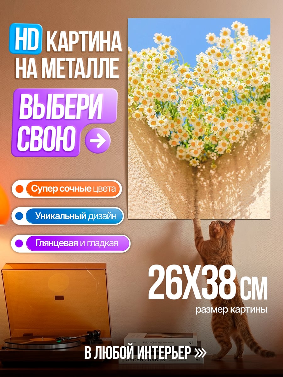 Картина на металле Поле ромашек небо