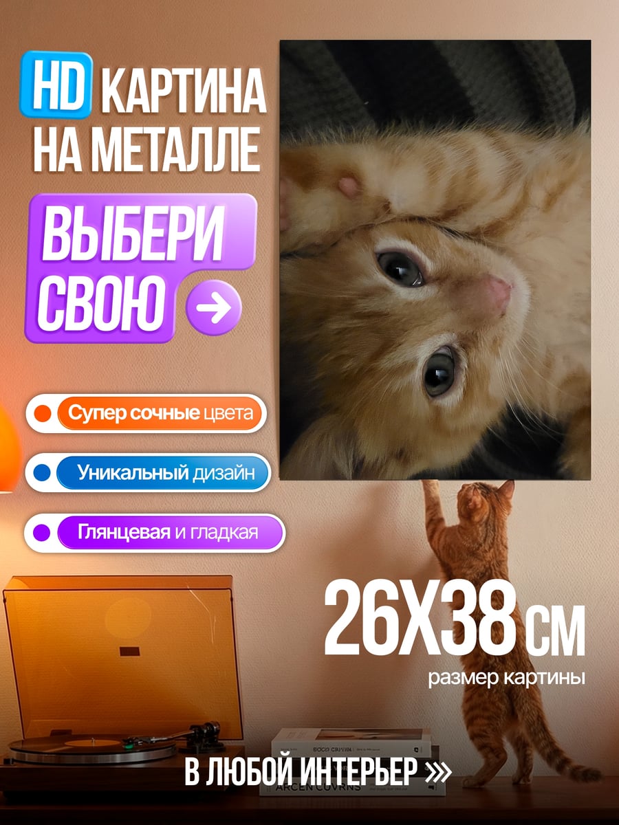 Картина на металле Рыжий котенок