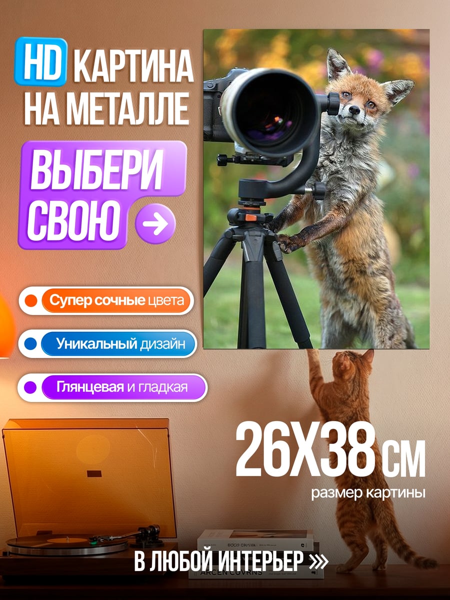 Картина на металле Лис фотограф