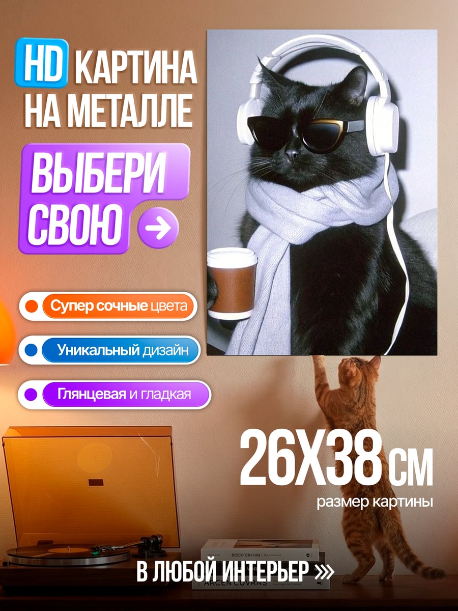 Картина на металле Кот в наушниках