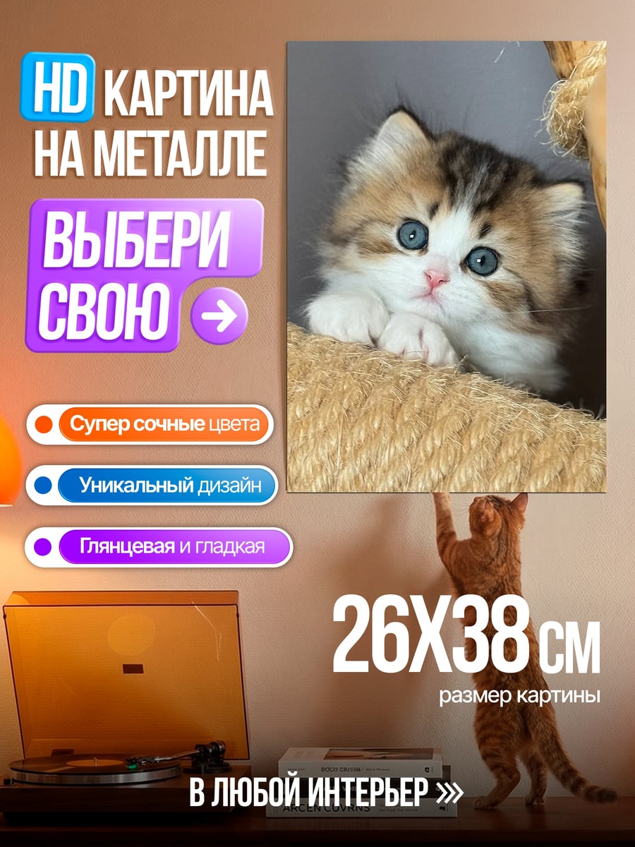 Картина на металле Кот свеча