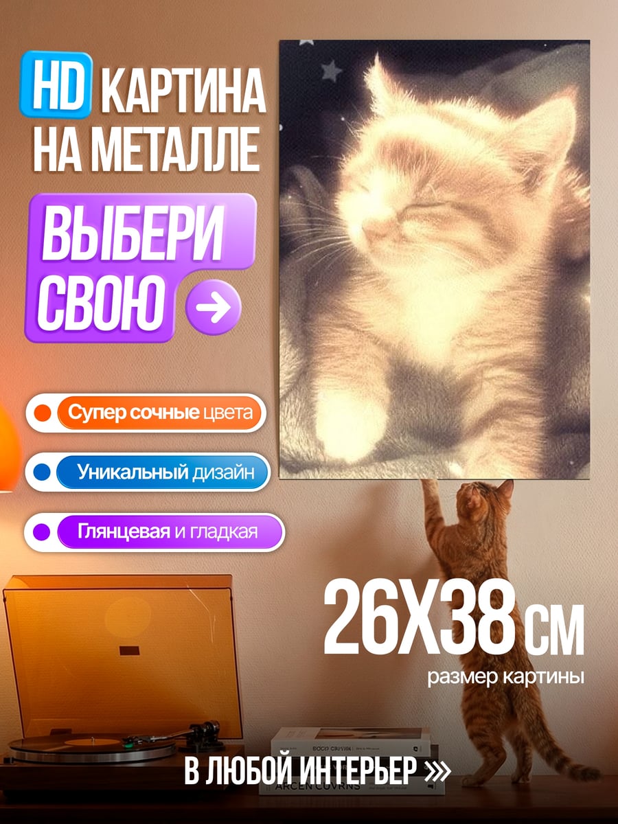 Картина на металле Котёнок и звезда