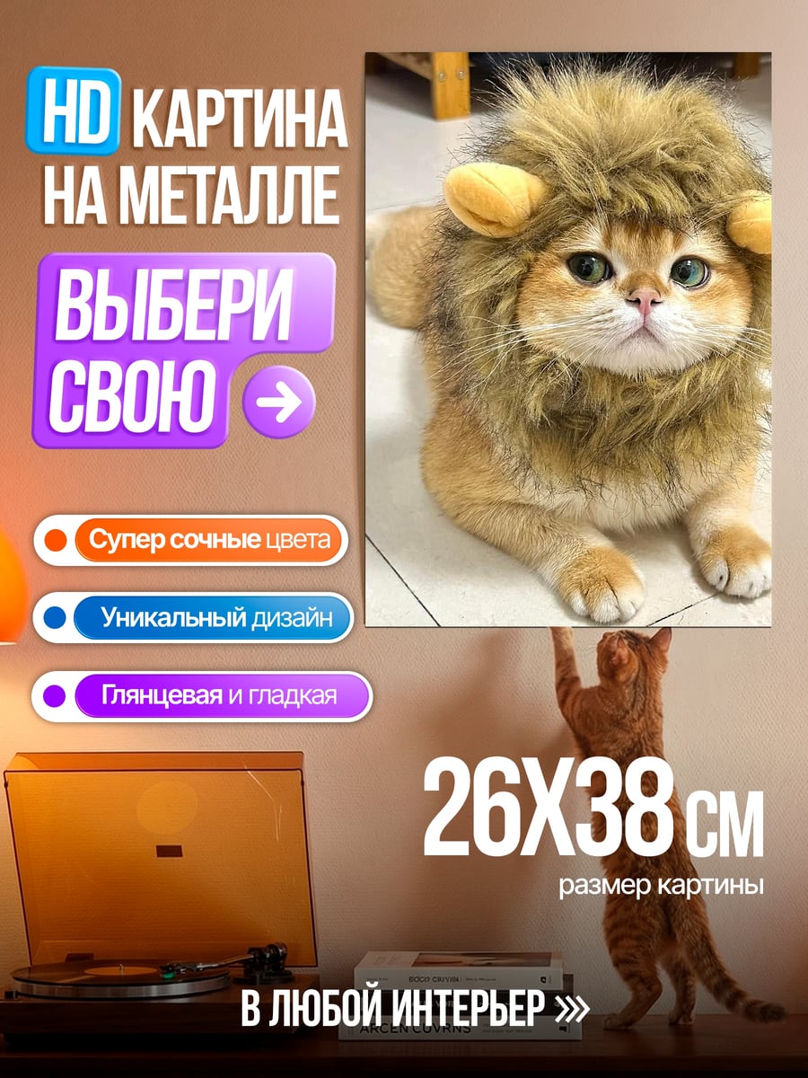 Картина на металле Кот в костюме льва