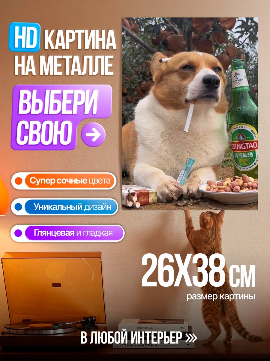 Картина на металле Корги с пивом