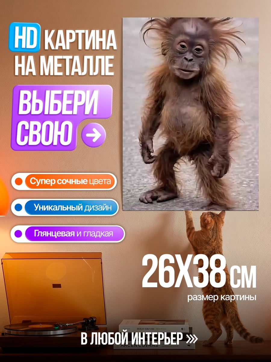 Картина на металле детеныш орангутана взъерошенный