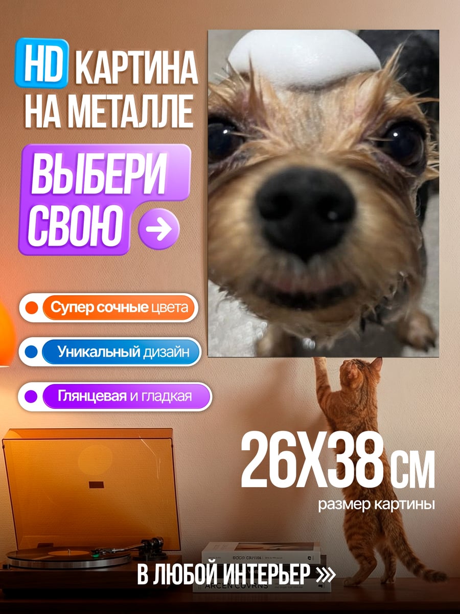 Картина на металле мокрый йоркширский терьер