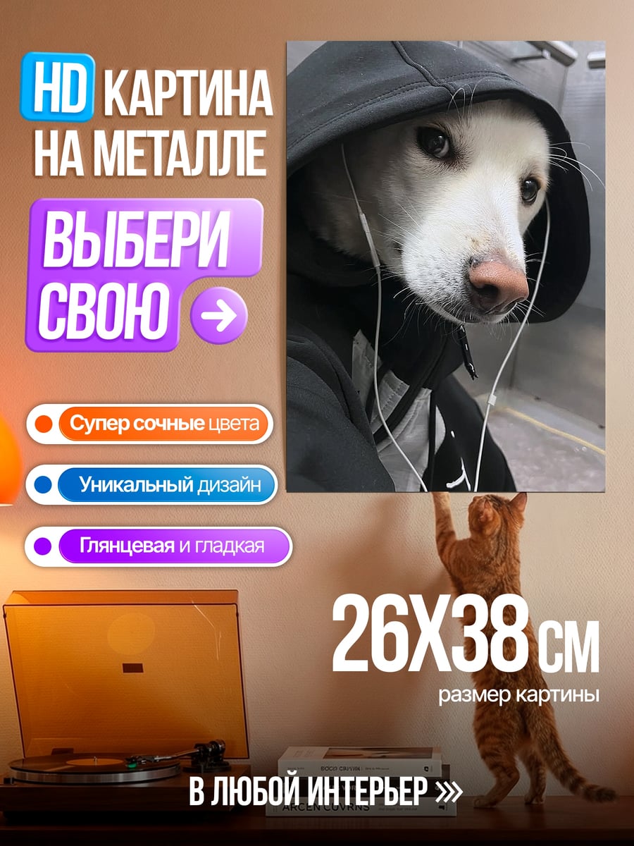 Картина на металле Собака в капюшоне