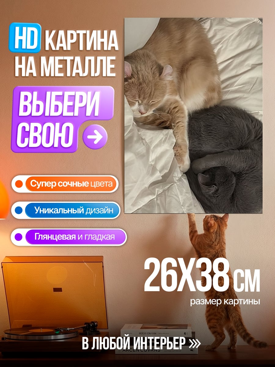Картина на металле Два спящих кота