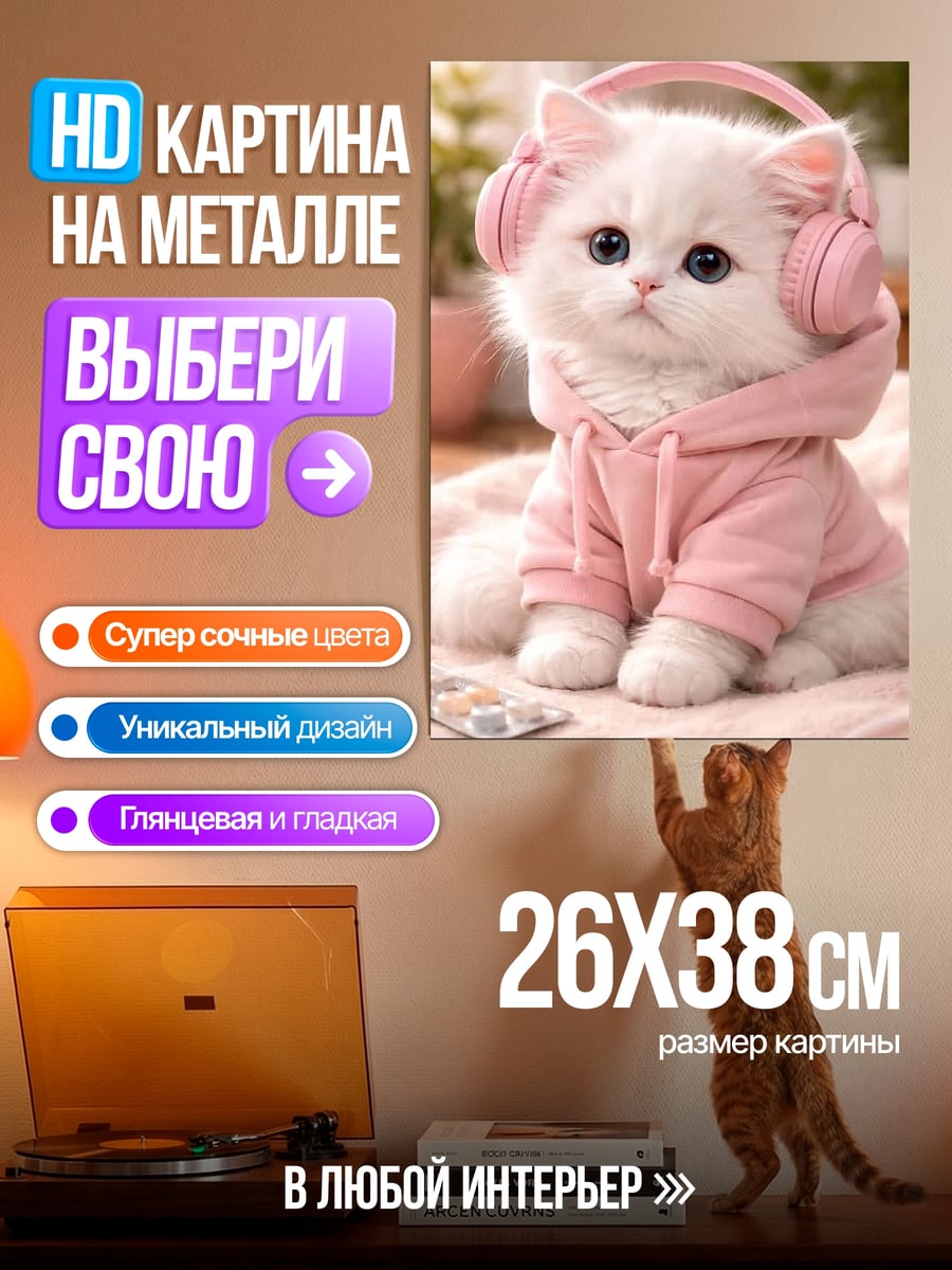 Картина на металле Кот в наушниках
