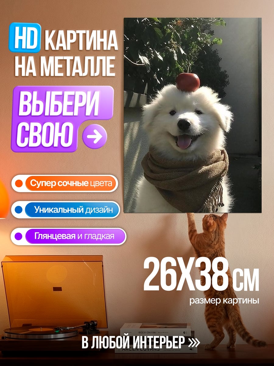 Картина на металле Самоед с яблоком