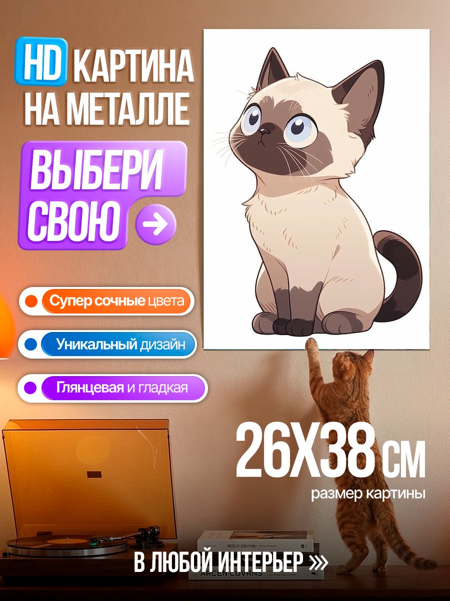 Картина на металле Сиамский котенок