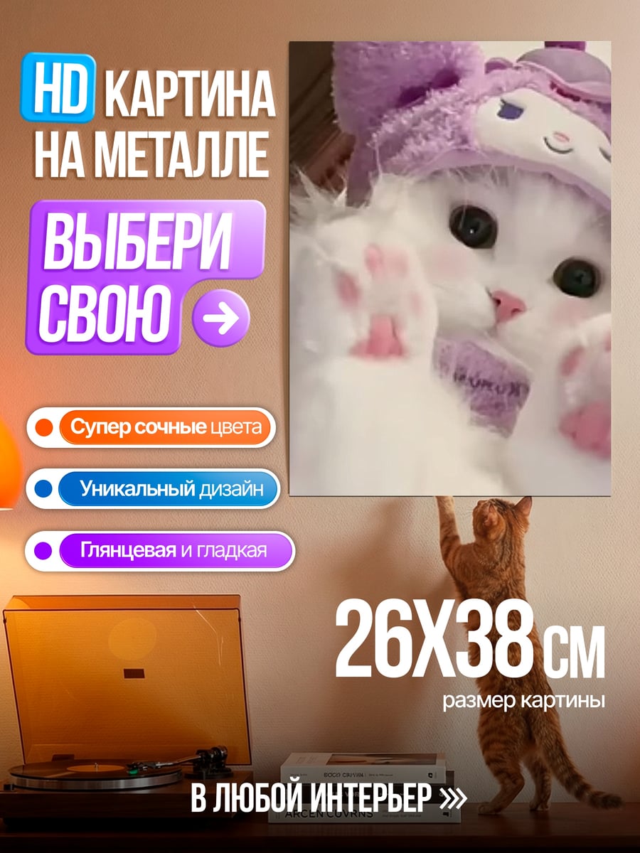 Картина на металле Кот в шапке