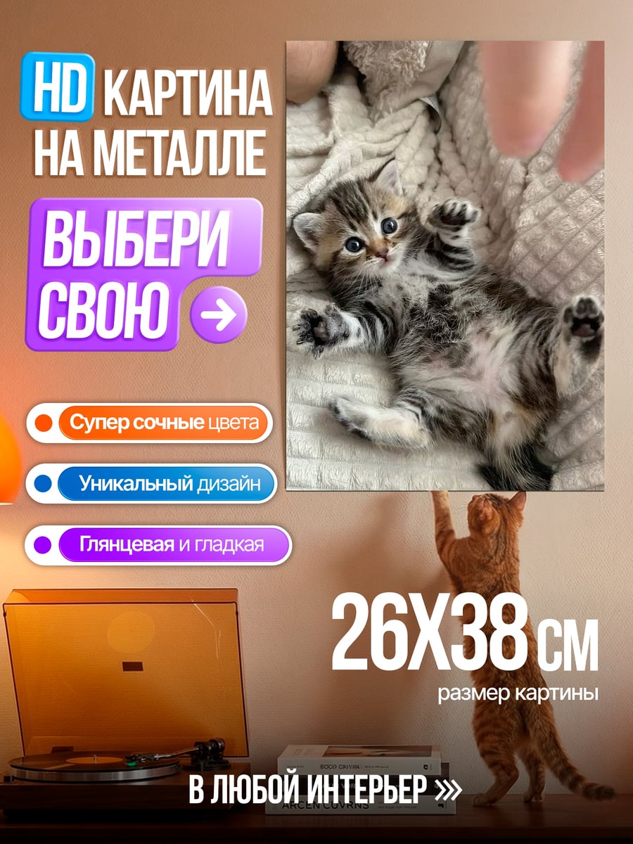 Картина на металле Котёнок на спине