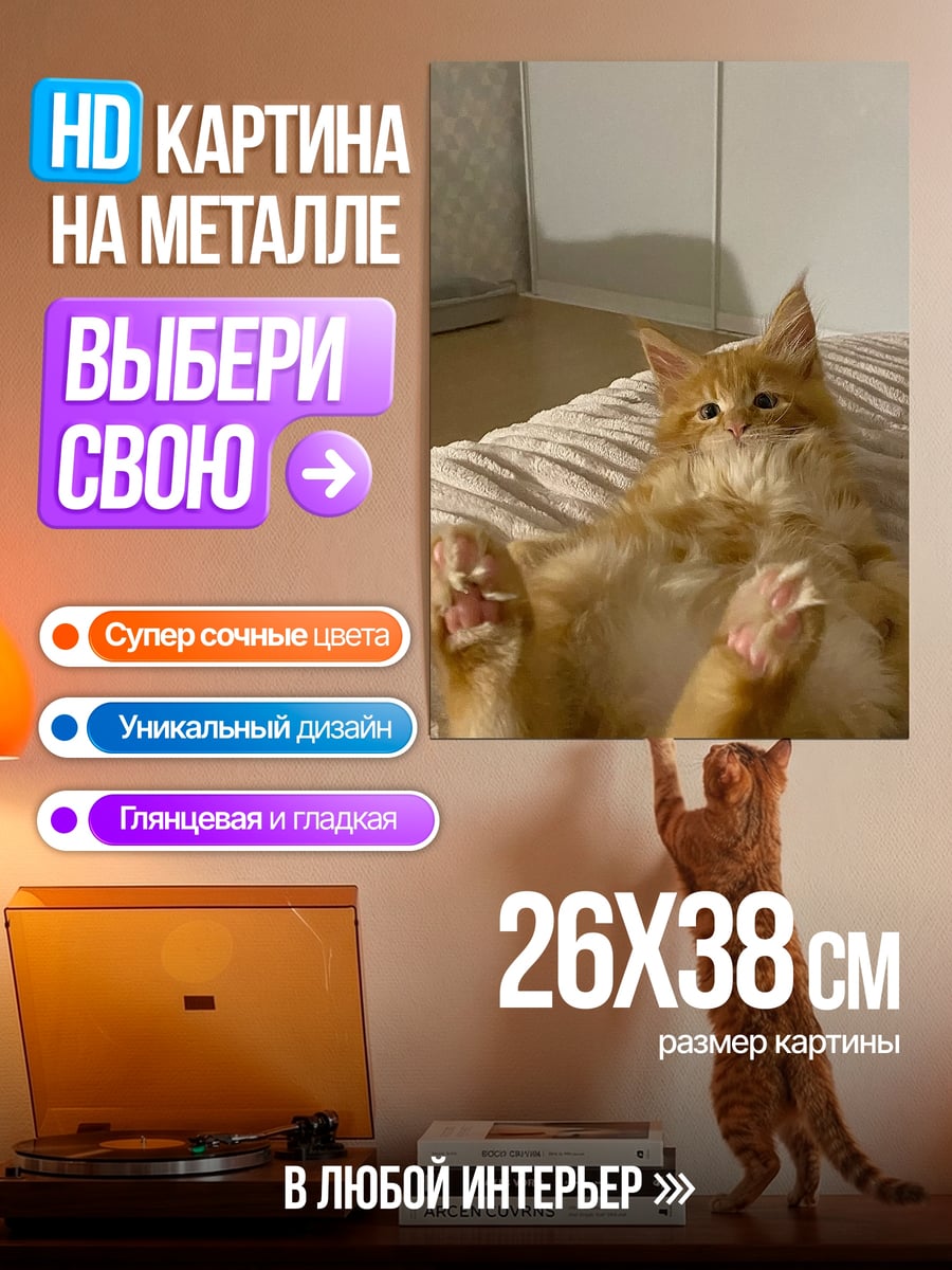 Картина на металле Рыжий кот лежит