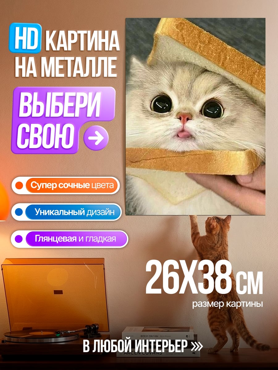 Картина на металле Кот в сэндвиче