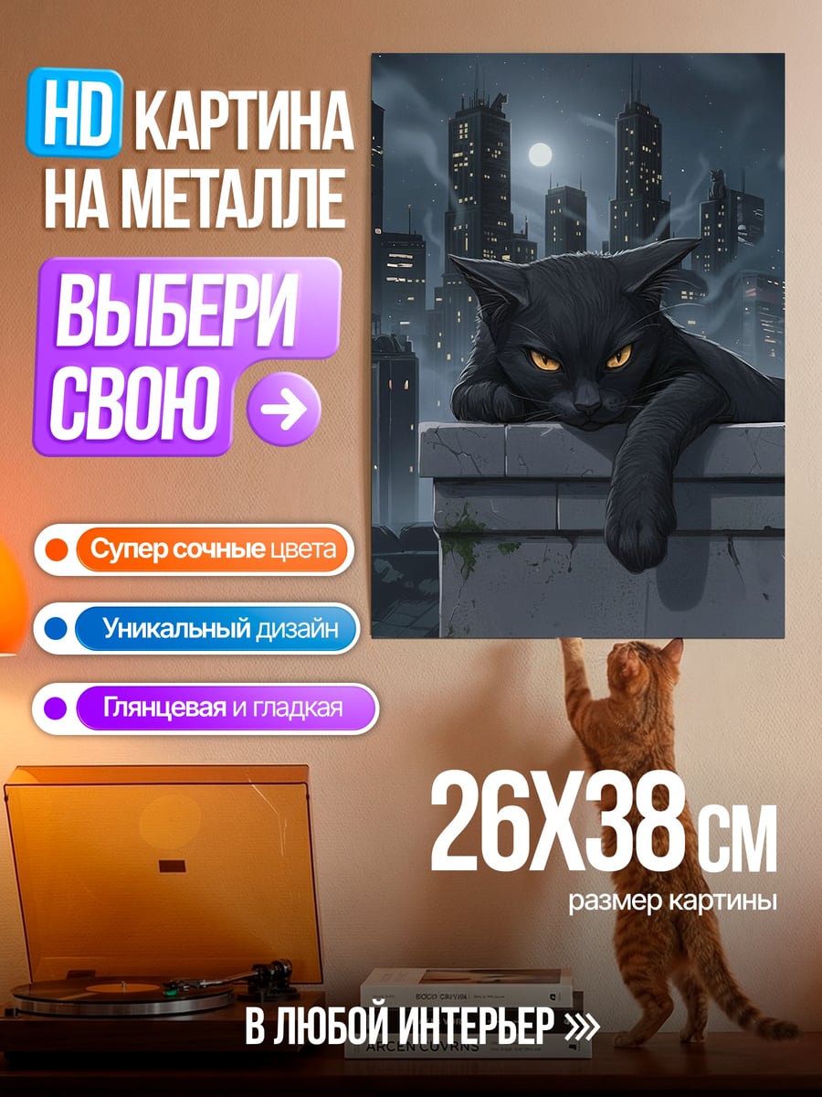 Картина на металле Черный кот город