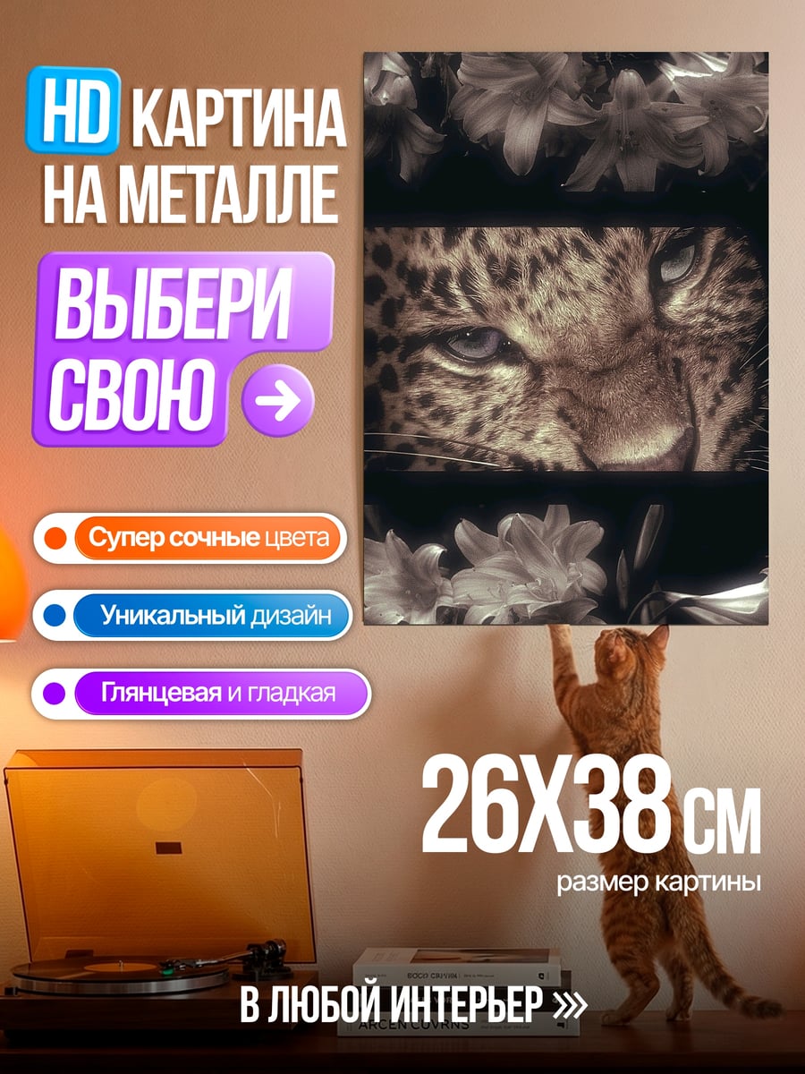 Картина на металле Леопардовый взгляд