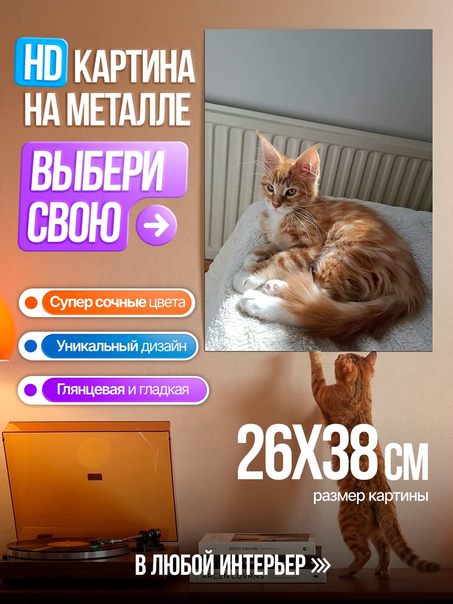 Картина на металле Рыжий котенок греется