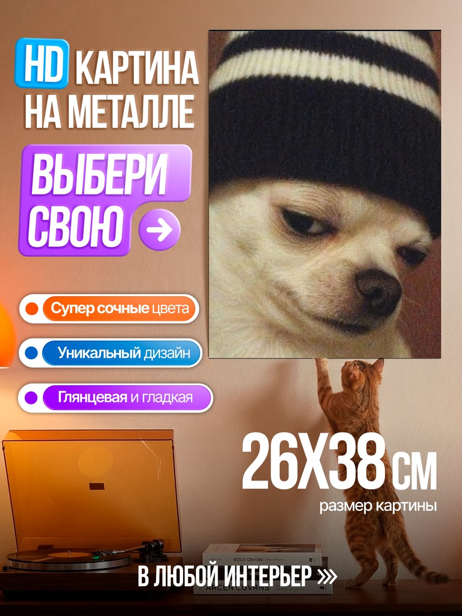 Картина на металле Чихуахуа в шапке