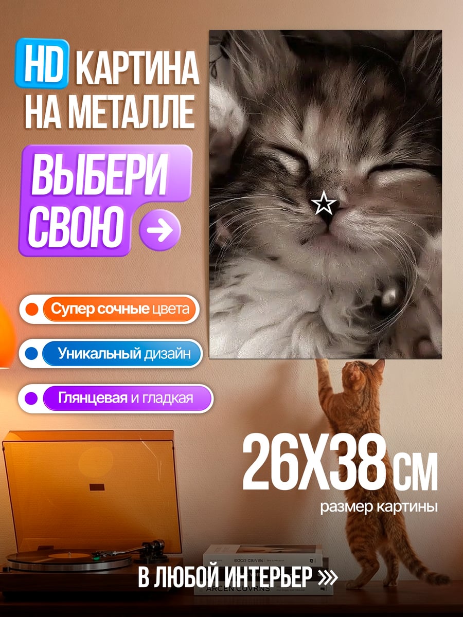 Картина на металле Спящий котенок