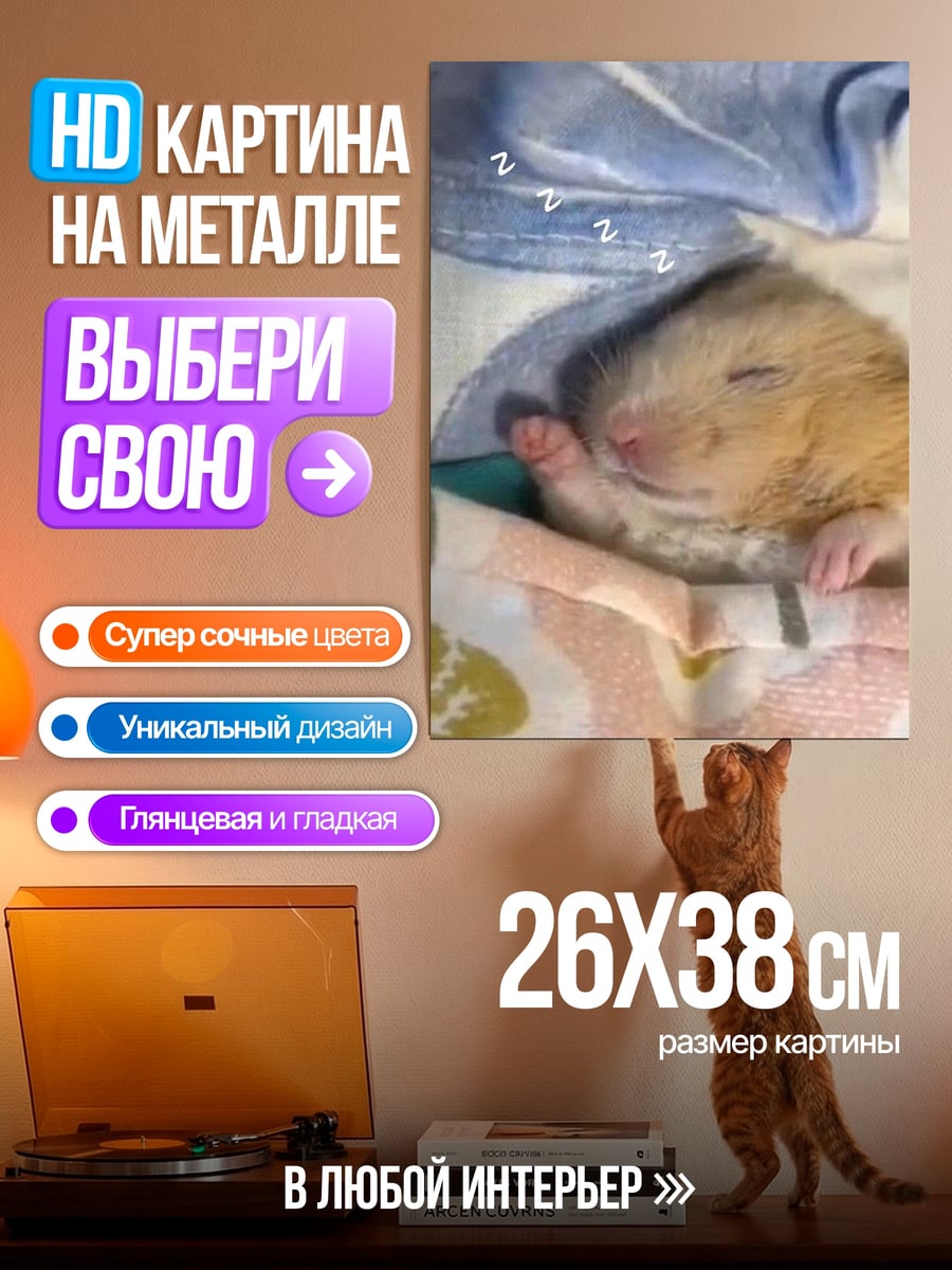 Картина на металле Спящий хомяк