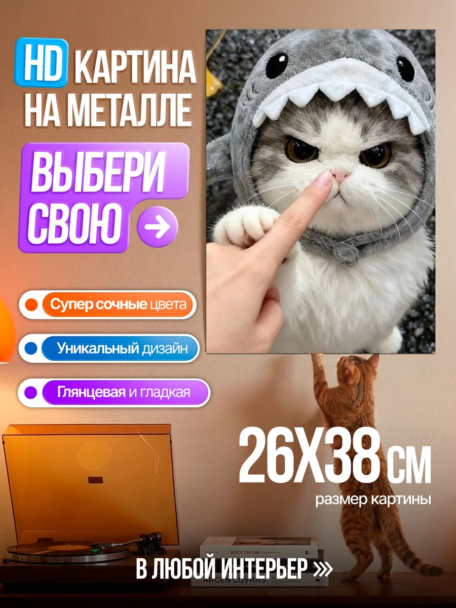 Картина на металле Кот в костюме акулы