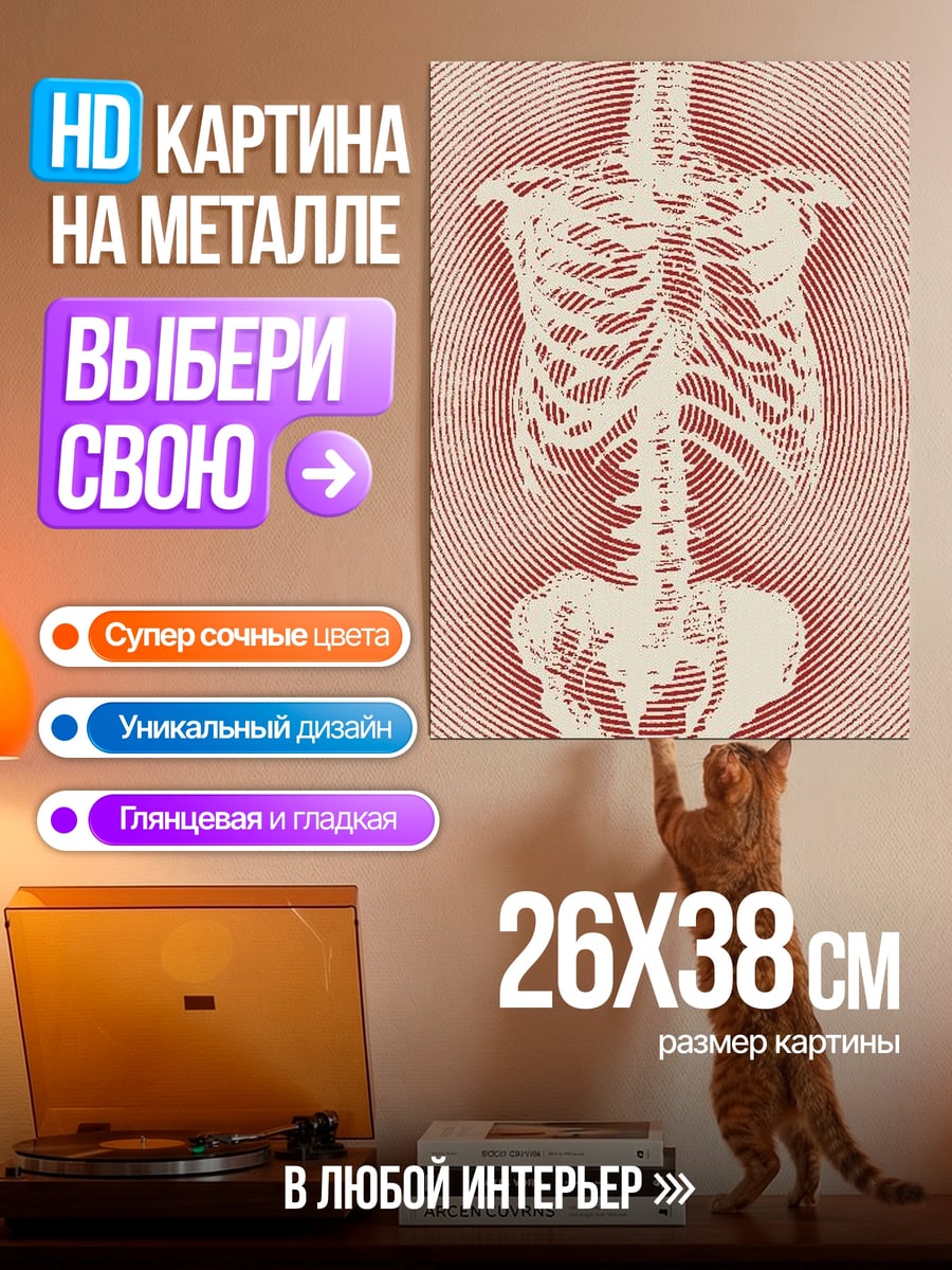Картина на металле Скелет человека