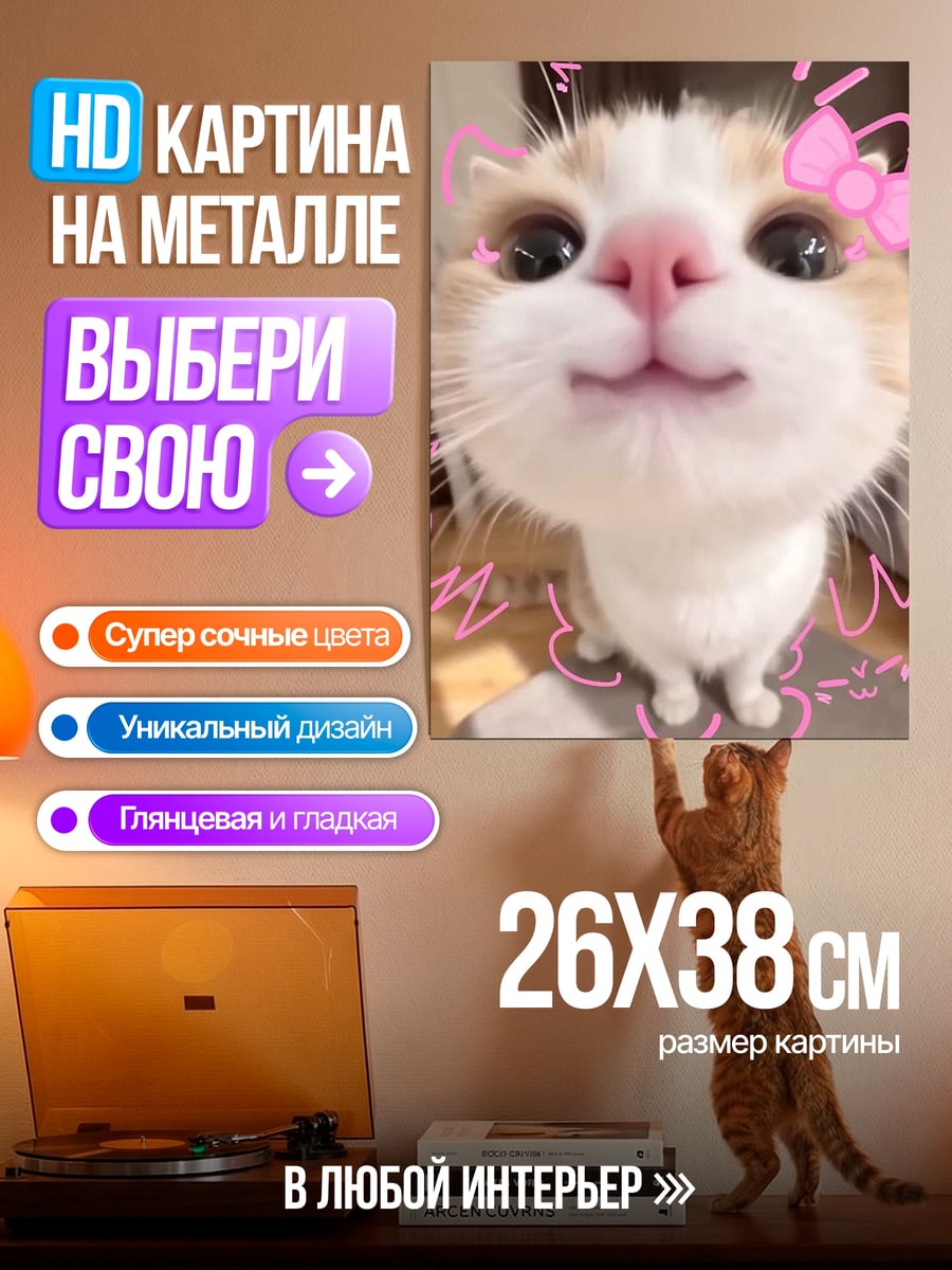Картина на металле Котик в стикерах