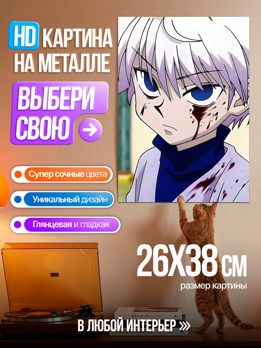 Картина на металле Киллуа Зольдик