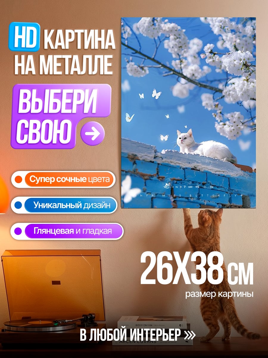 Картина на металле Белый кот на стене