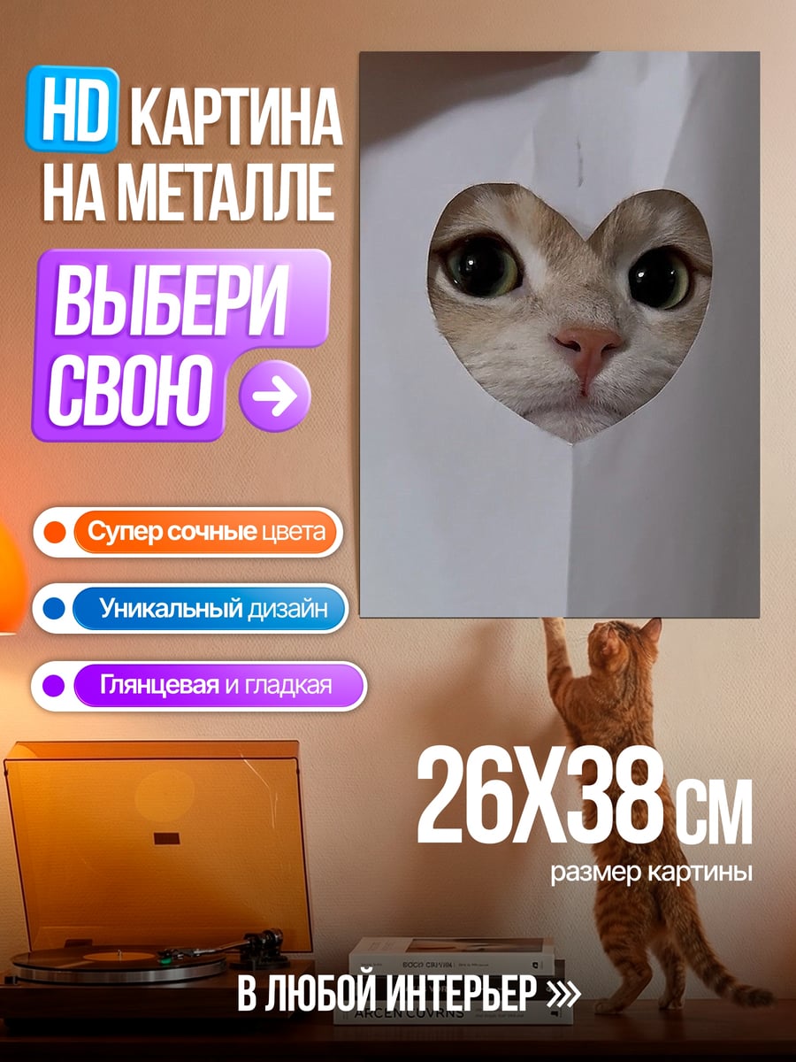 Картина на металле Кот в форме сердца