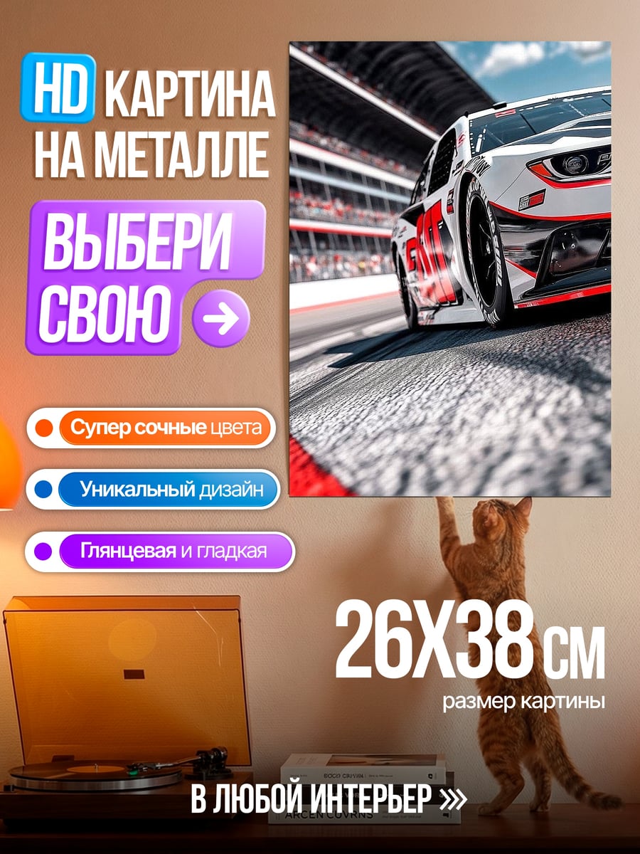 Картина на металле Гоночный автомобиль на трассе