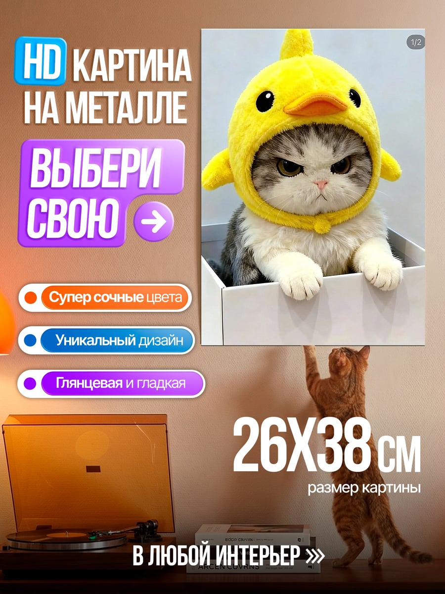 Картина на металле Кот в шапке утки