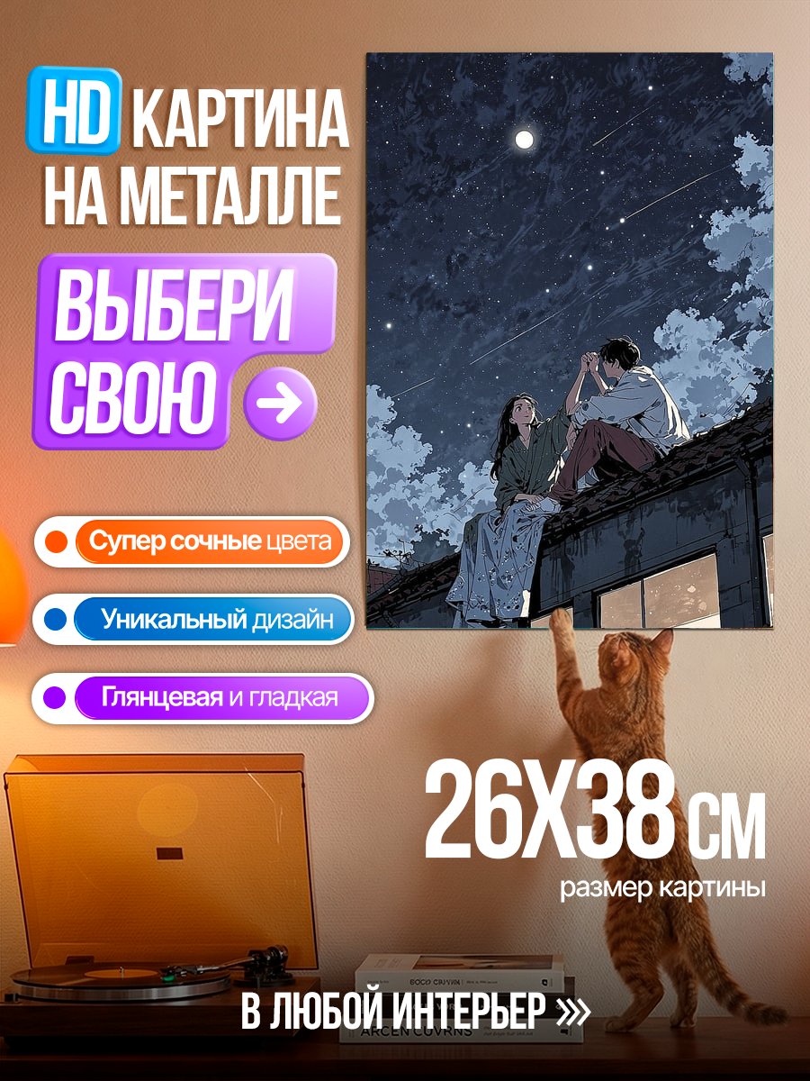 Картина на металле Пара под звездами