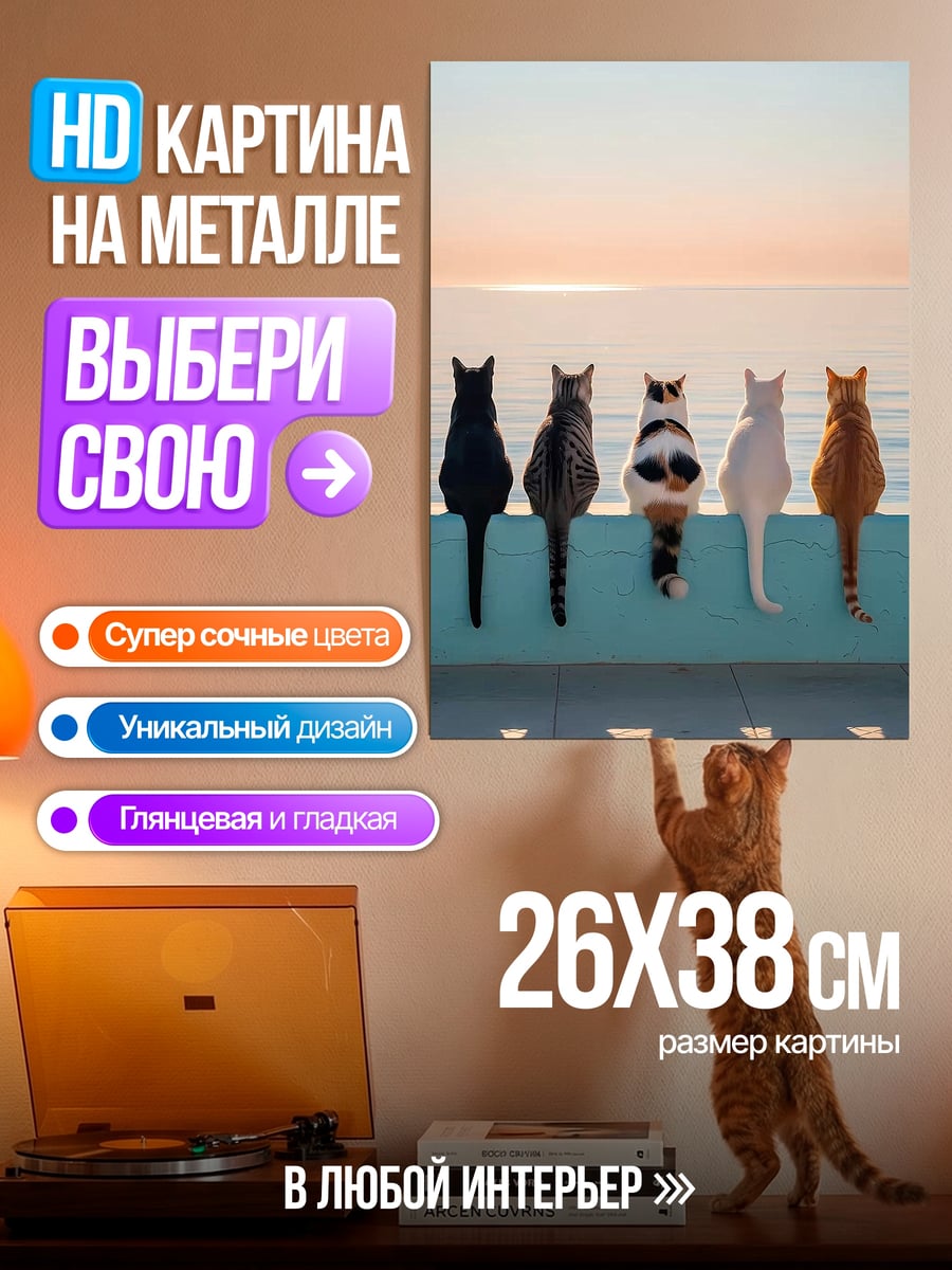 Картина на металле Пять кошек на закате