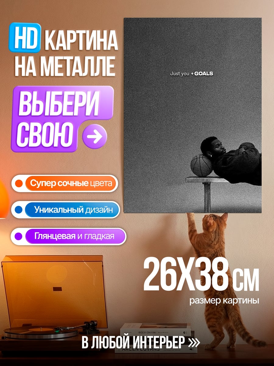 Картина на металле Баскетбол и цели