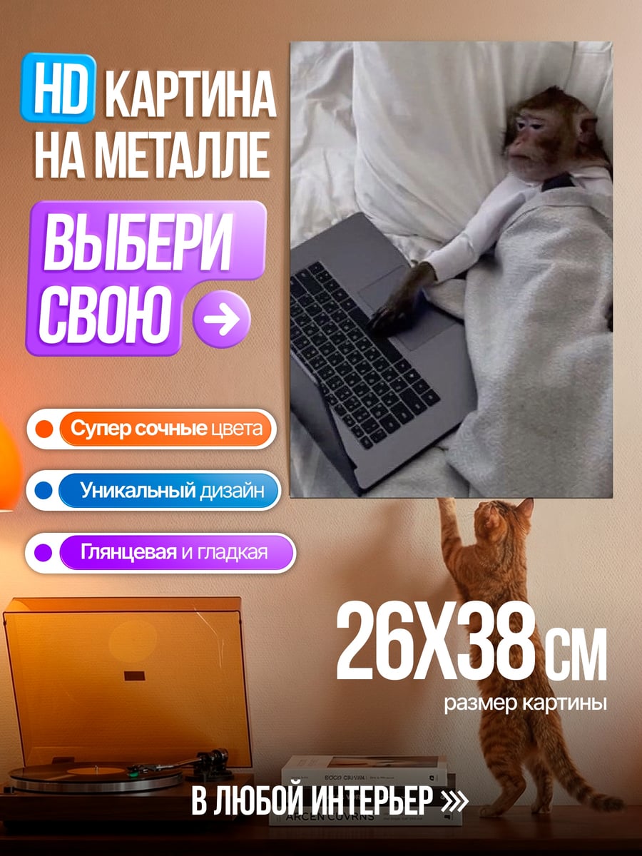 Картина на металле Обезьяна с ноутбуком