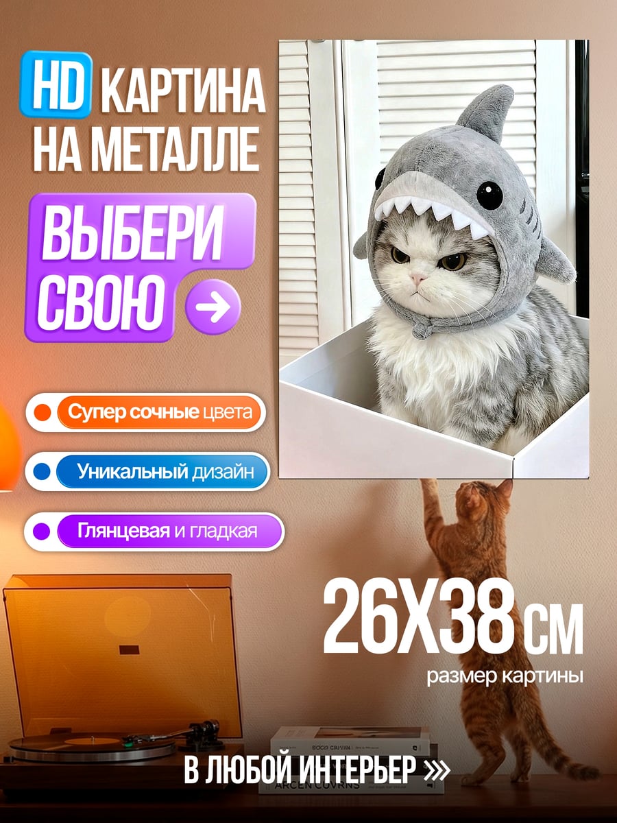 Картина на металле Кот в шапке акулы