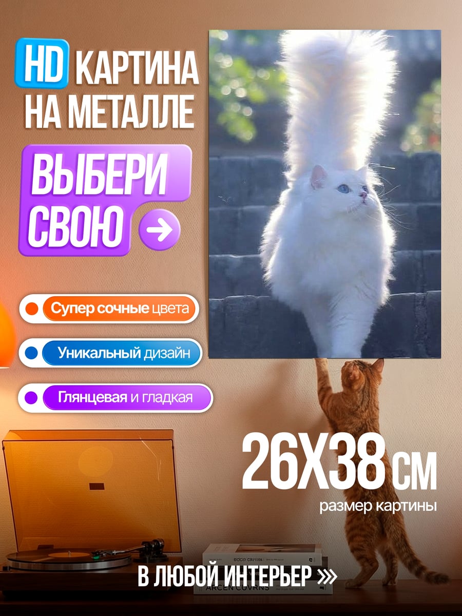 Картина на металле Белый пушистый кот