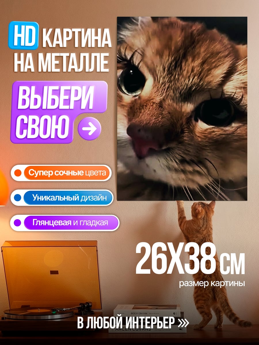 Картина на металле Кот с ресницами