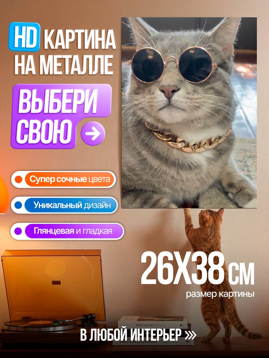 Картина на металле Кот в очках