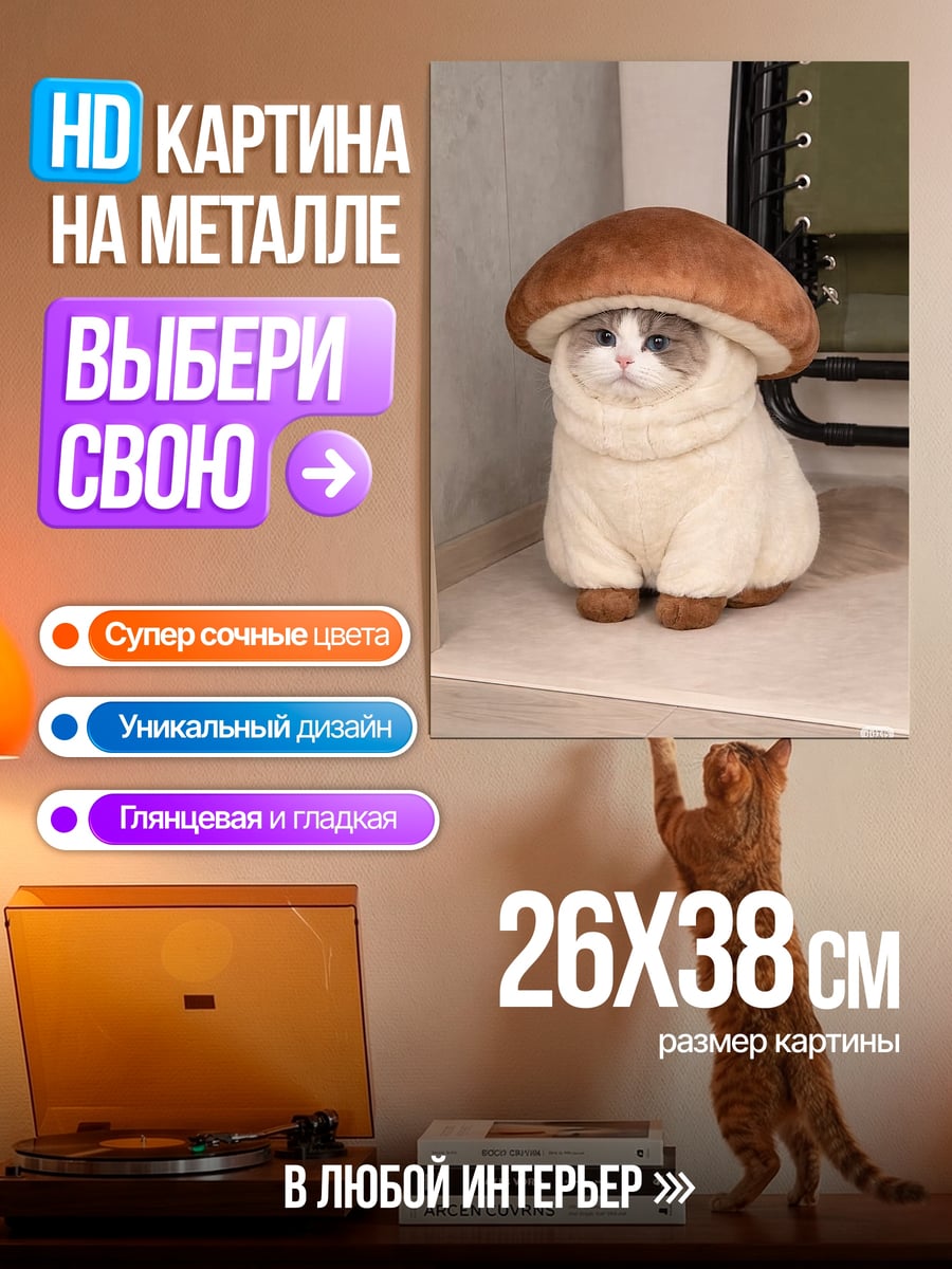 Картина на металле Кот гриб