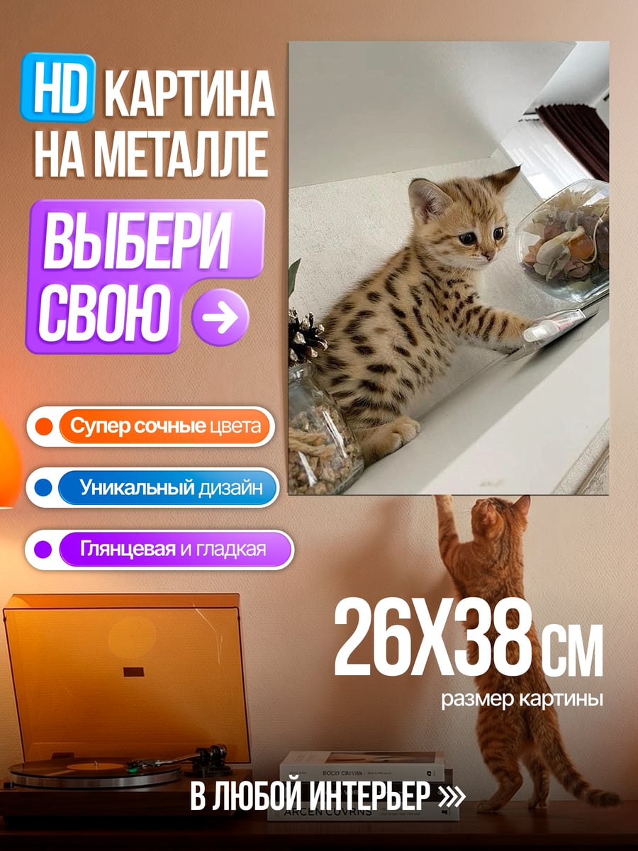 Картина на металле Котёнок с пятнами