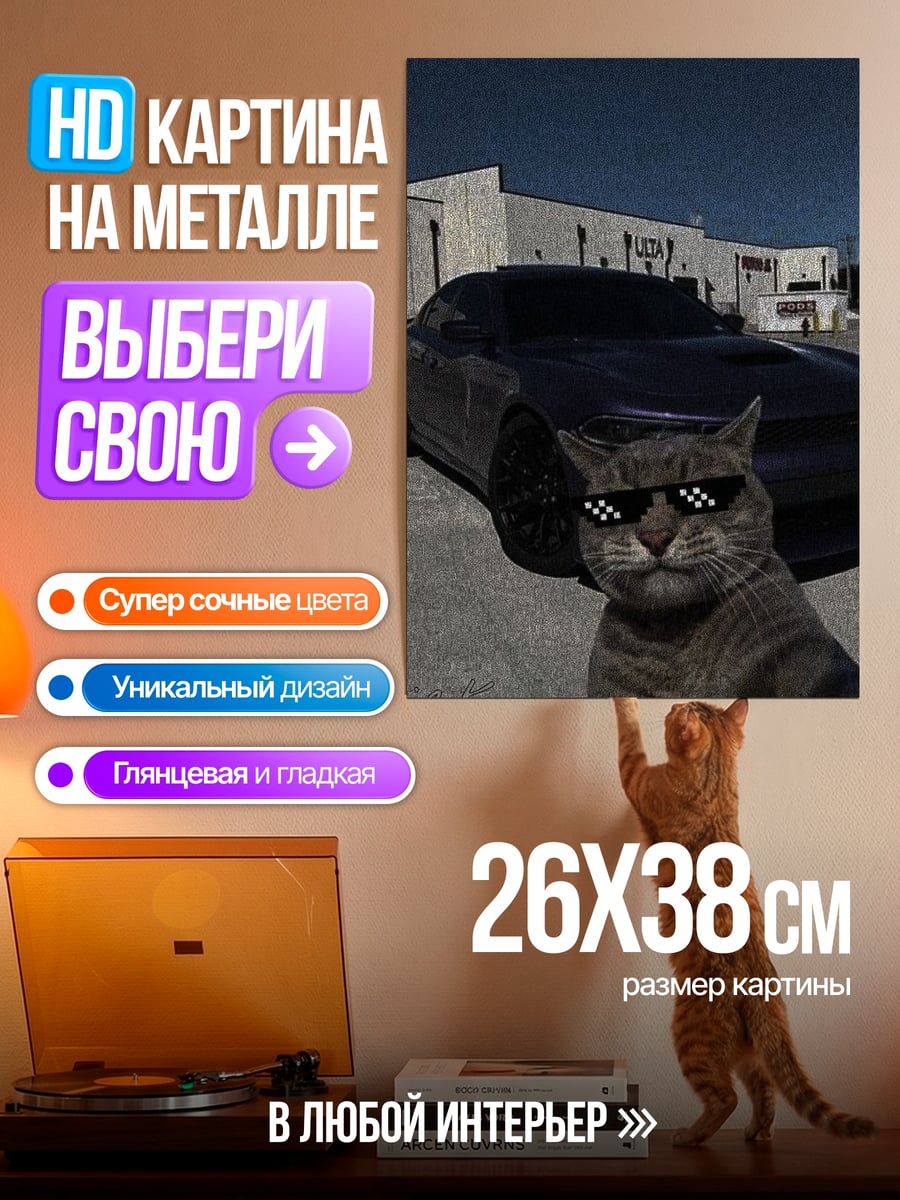 Картина на металле Кот в очках и машине
